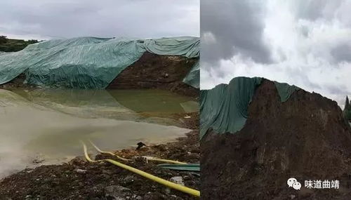 央视曝光，怕被卫星拍到的垃圾山，环境污染触目惊心！