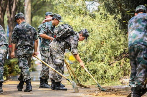 人民子弟兵清淤背影令人动容